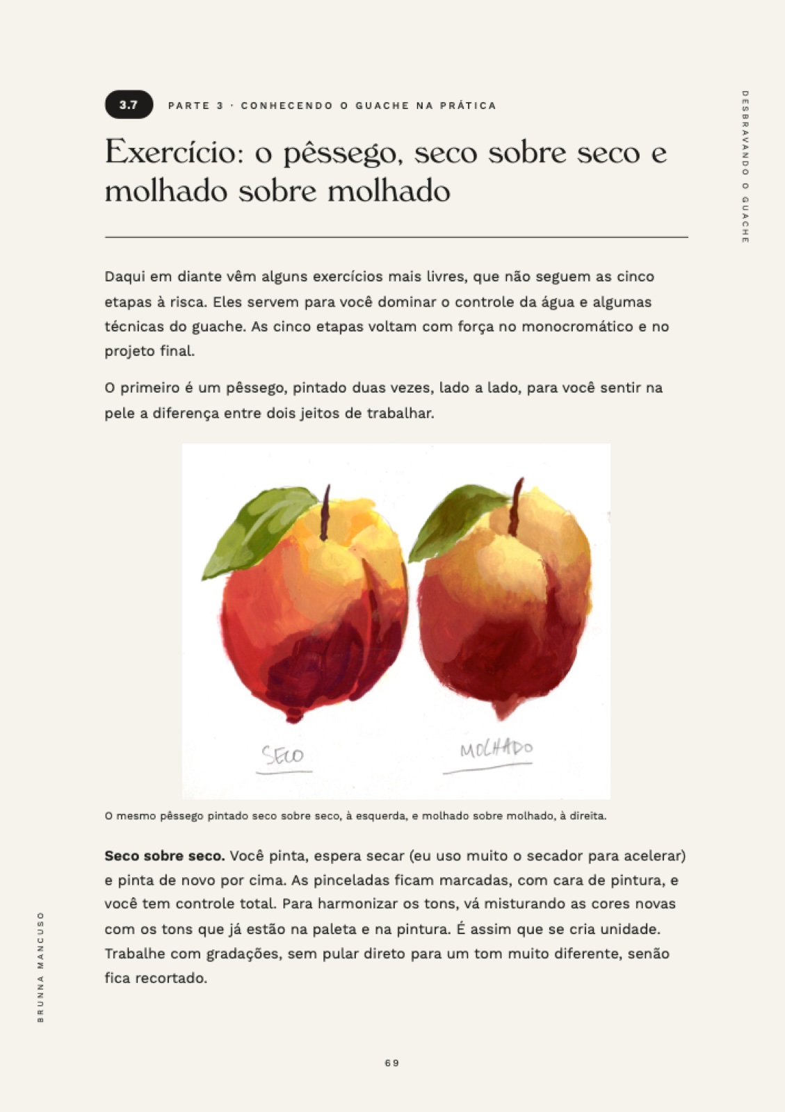 Página do ebook Desbravando o Guache sobre exercícios guiados